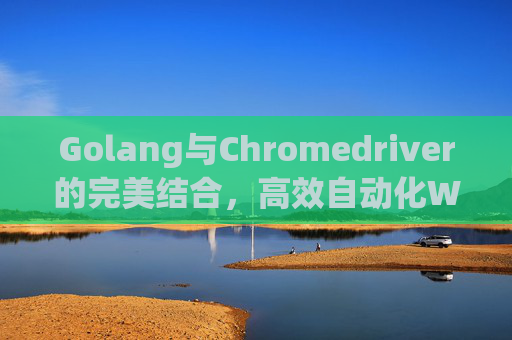Golang与Chromedriver的完美结合,高效自动化Web测试与爬虫应用 Golang与Chromedriver的完美结合,高效自动化Web测试与爬虫应用